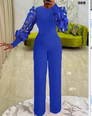 Embroidered Mesh Sleeve Slim Fit Commuter Jumpsuit