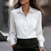 Casual Buttoned Lantern Sleeve Long-Sleeve Womens Blouse