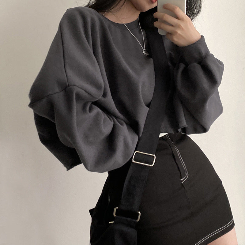 Cozy Cropped Round Neck Women's Pullover Top