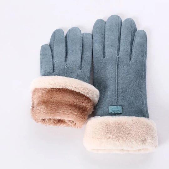 cjv9