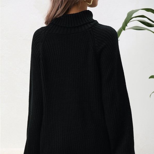 Women's Turtleneck Sweater Loose Pullover Raglan Sleeve Long Sleeve Solid Color
