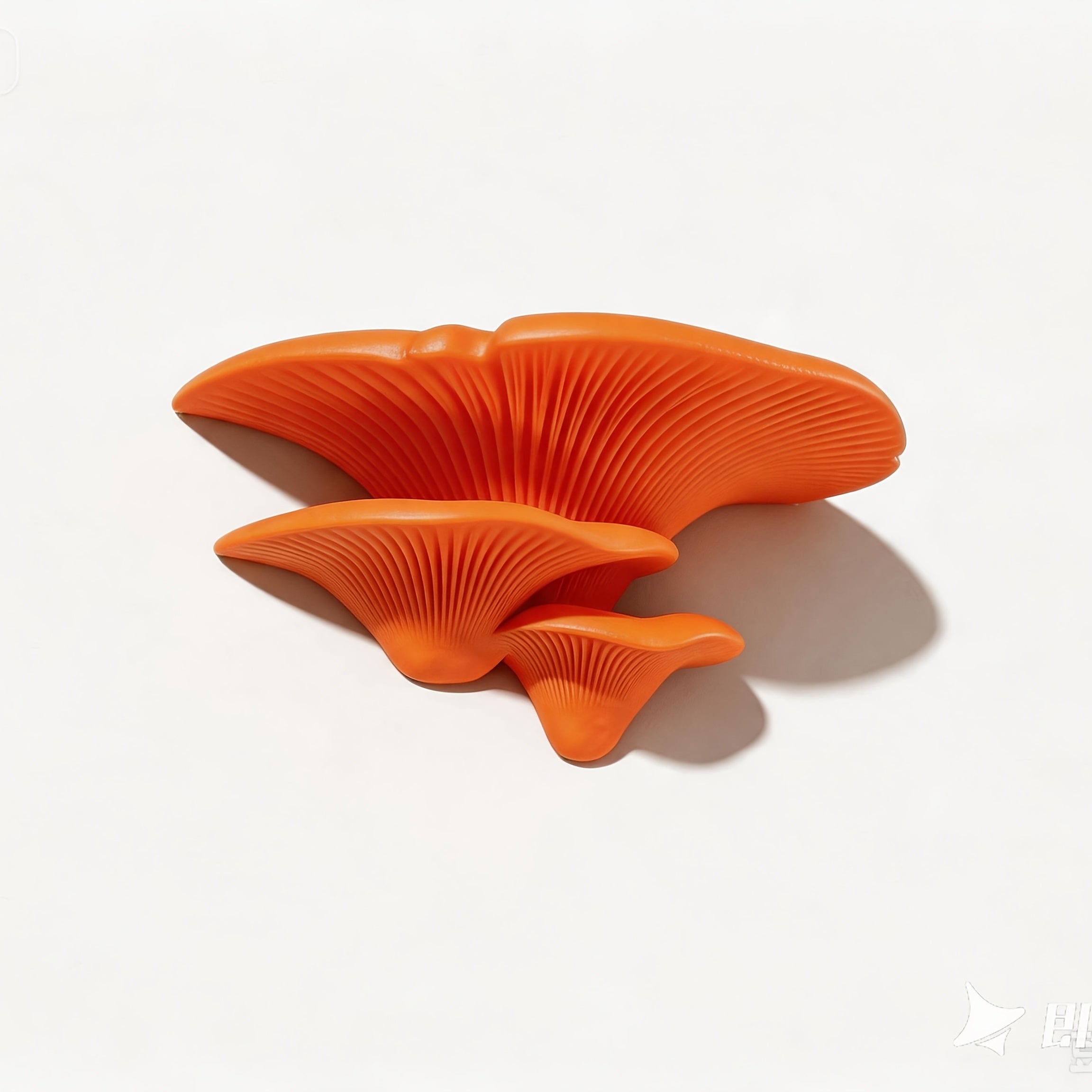 Mushroom-shaped 3-tier floating wall shelf for books and plants