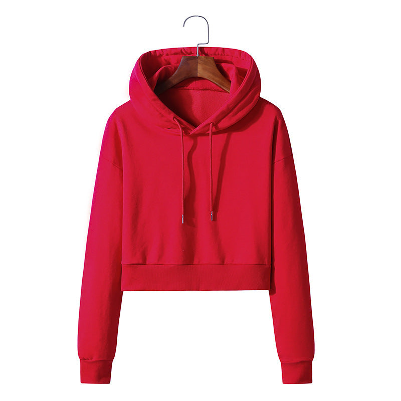 Cropped Cotton Hooded Pullover Sweater