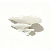 Mushroom-shaped 3-tier floating wall shelf for books and plants