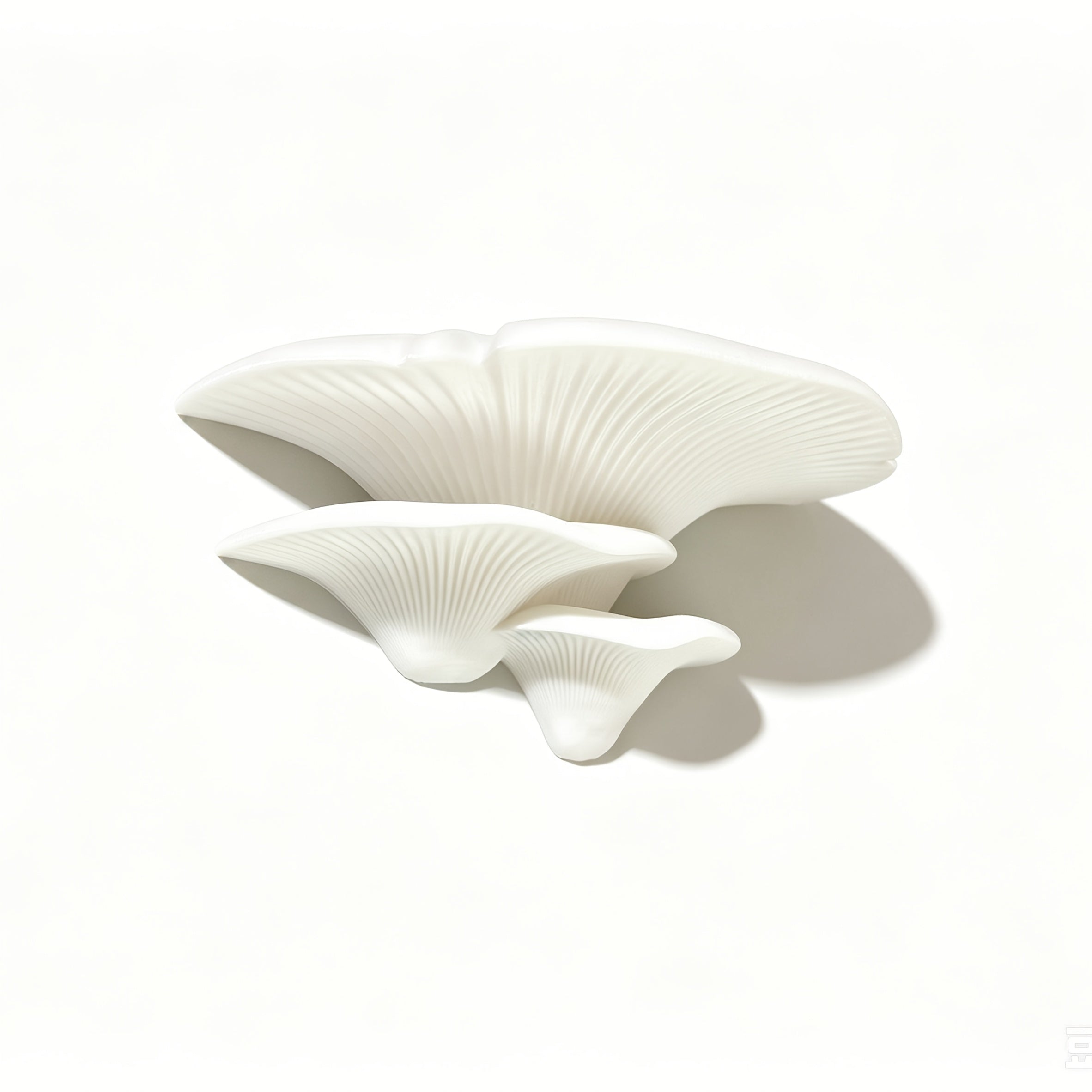 Mushroom-shaped 3-tier floating wall shelf for books and plants