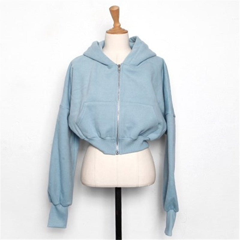 Chic Hooded Cotton Zip Sweatshirt