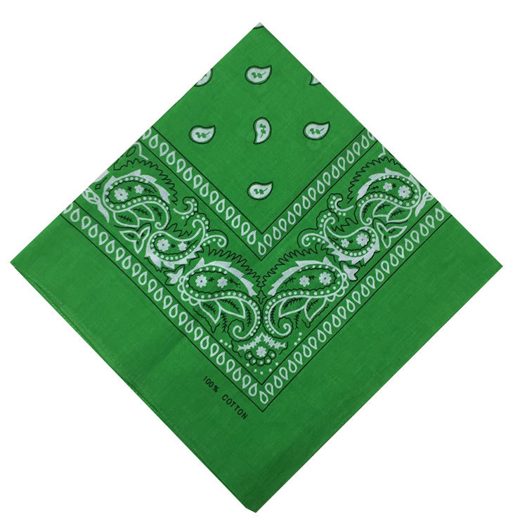 cjv17