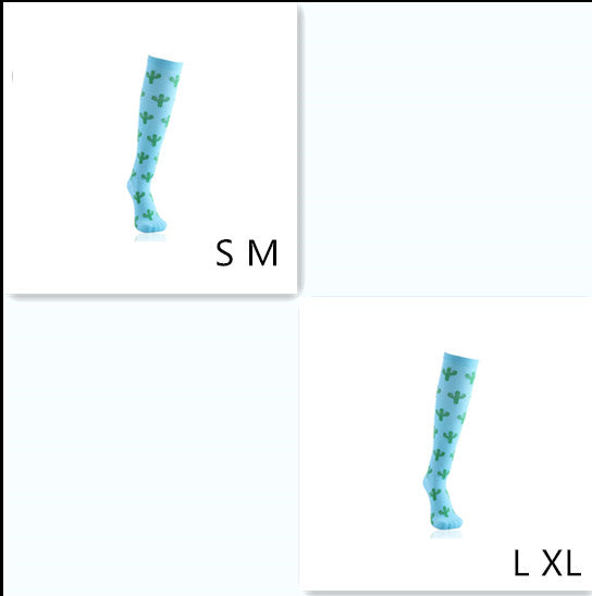 cjv6