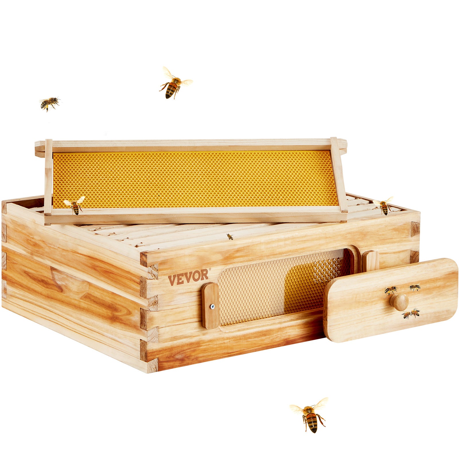 Medium Langstroth Beehive Starter Kit with 10 Frames, Beeswax‑Coated Cedar Wood, Foundations and Acrylic Observation Windows