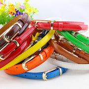 Colorful Candy Belt for Women - Pin Buckle & Multicolor Options