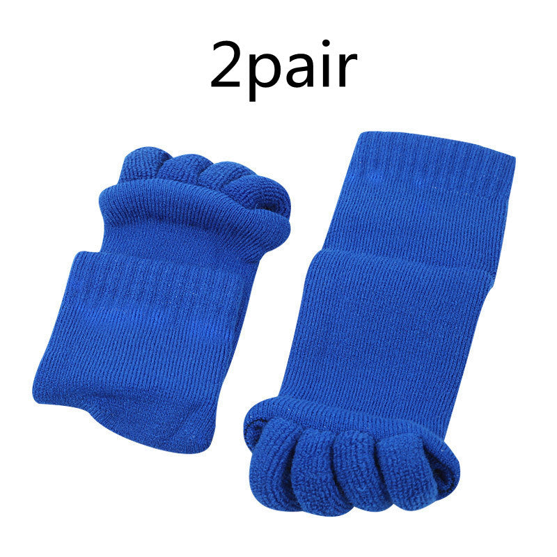 cjv24