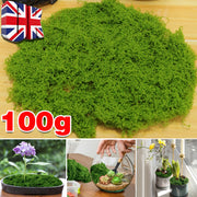 Create a Miniature Oasis with Artificial Moss Micro Landscape