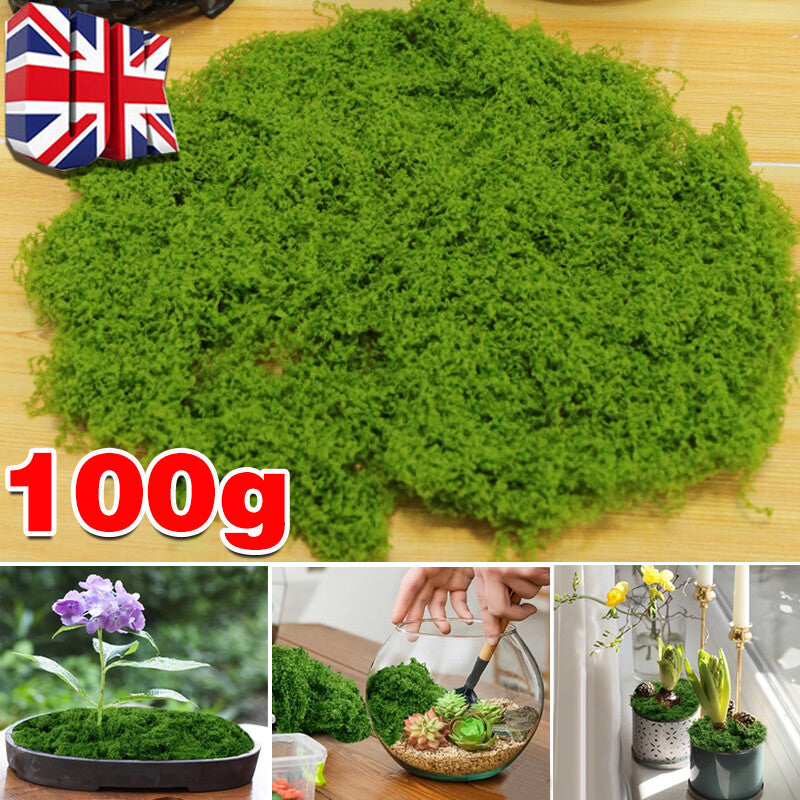 Create a Miniature Oasis with Artificial Moss Micro Landscape