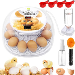 12-egg incubator with automatic egg turner and LED candler