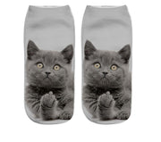 Fun Cat Socks