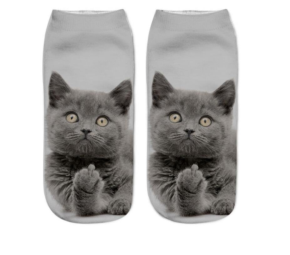 Fun Cat Socks