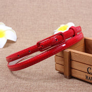 Versatile Pin Buckle Belt for Women