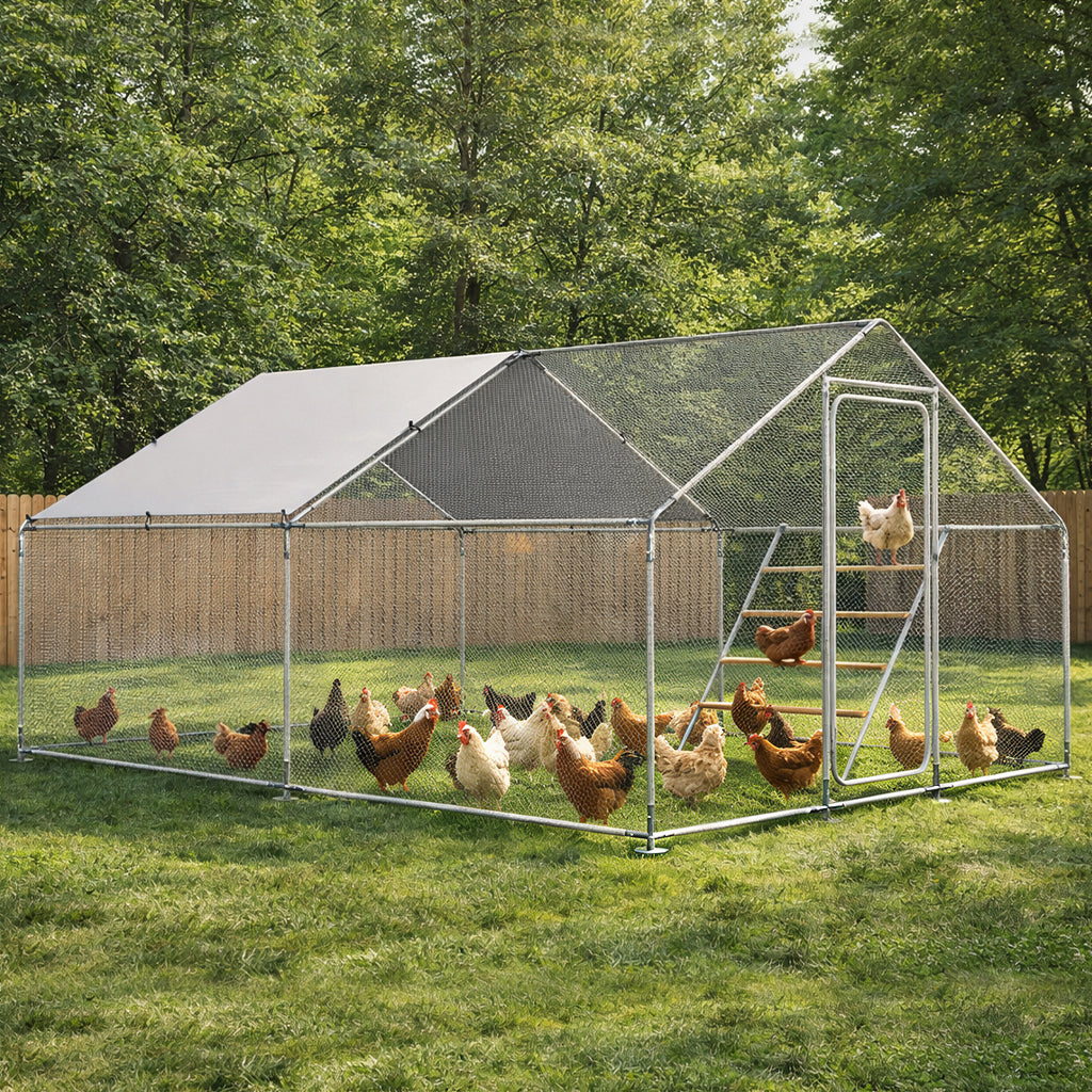 Large Walk-In Metal Chicken Coop with Roof, Roosting Perch, Lockable Door and Outdoor Run