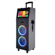All-in-One Portable Karaoke Machine with Wireless Microphones