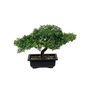 Artificial aglaia odorata bonsai with stone accent for tabletop decor
