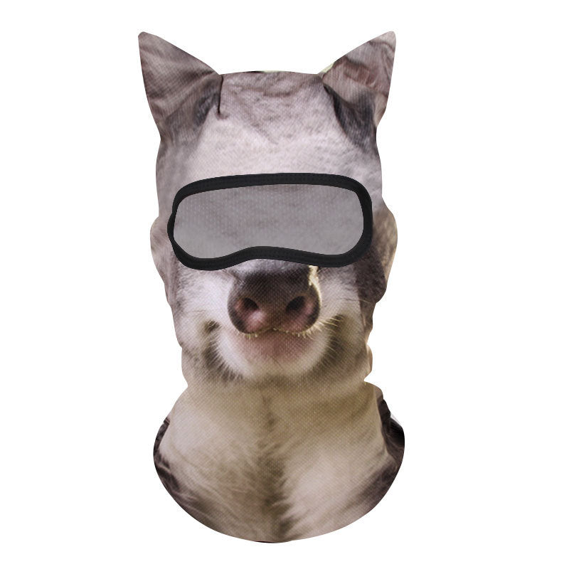 cjv9