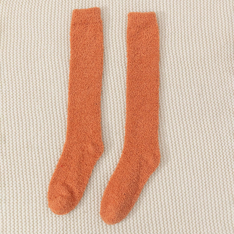 cjv5