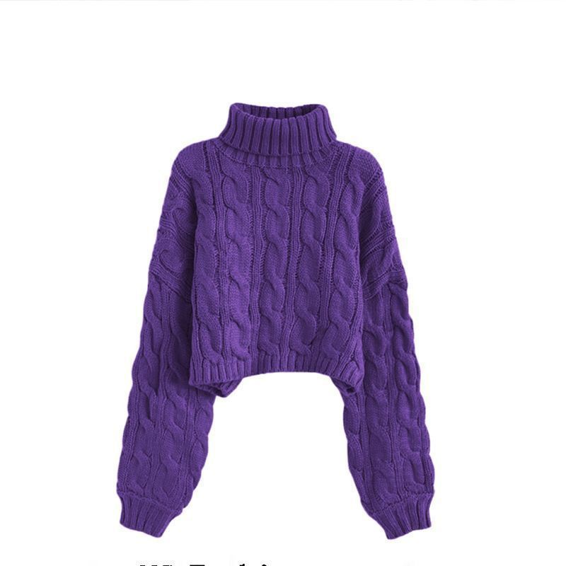 New Autumnwinter Linen Short Turtleneck Outerwear Knitted Floral Sweater for Women
