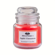 Vanilla Bean Pine Apple Cinnamon and Raspberry Scented Candle