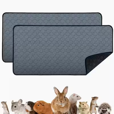 Accident-Proof Pet Mat for Easy Cleaning