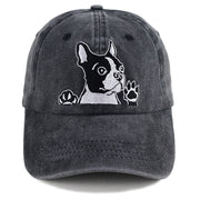 Cute Pet Cap