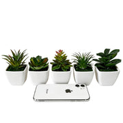 Artificial succulent plant set realistic potted greenery no maintenance