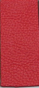 cjv1