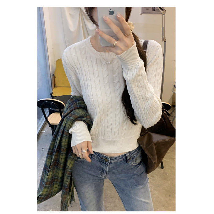 Ladies' Loose Twisted Round Neck Solid Color Sweater
