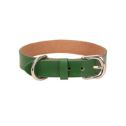 Comfort Pet Collar