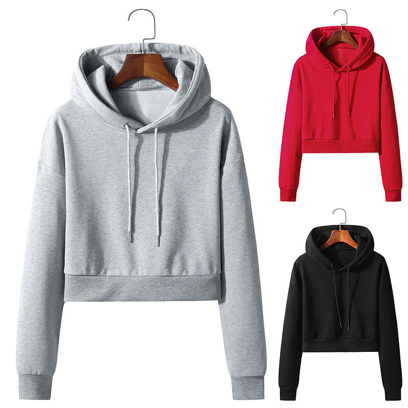 Cropped Cotton Hooded Pullover Sweater