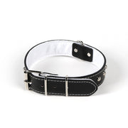 Durable Pet Collar
