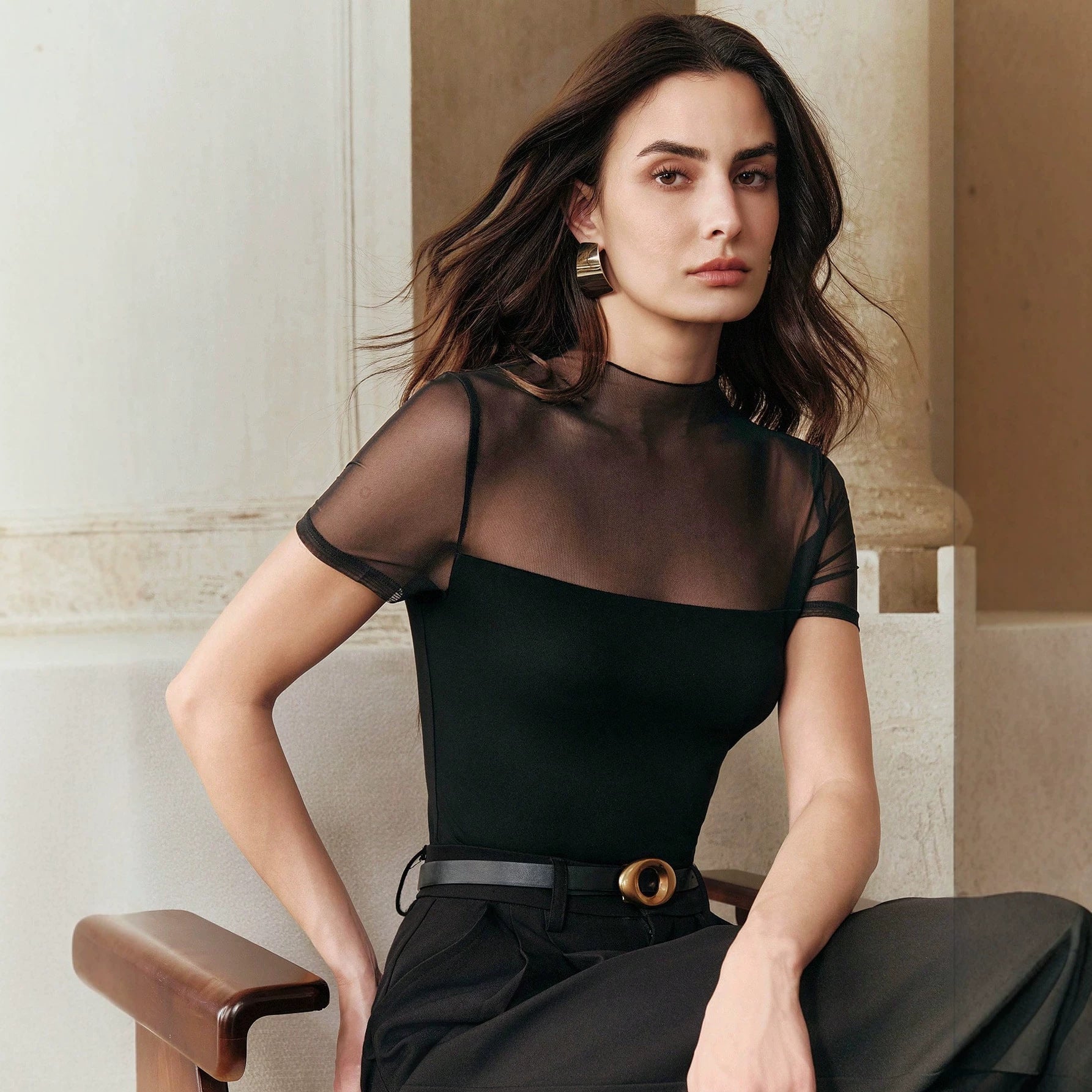 Flattering Sheer Short Sleeves Top