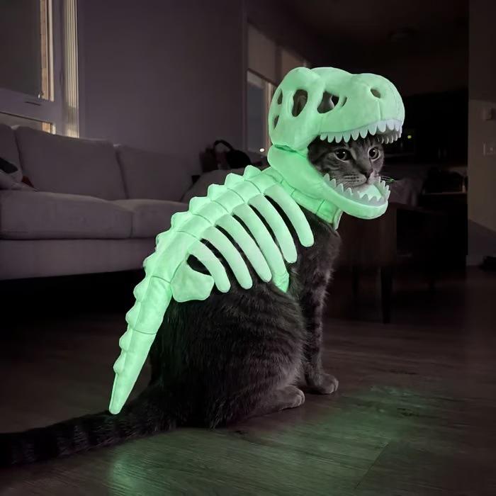 Pet Dinosaur Skeleton Costume for Halloween