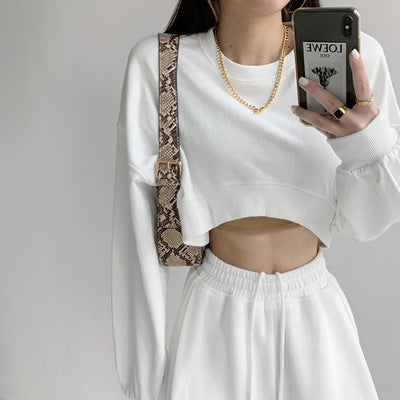 Women's Solid Color Loose Short Sweater