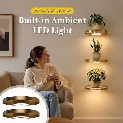 Boost Your Space with Modern LED Plant Stand