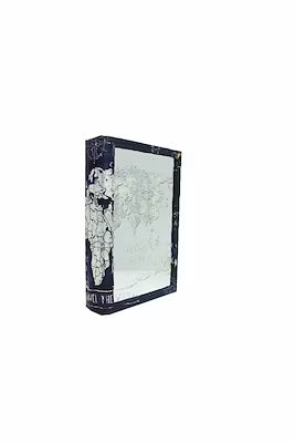 Mirror Globe Book Box