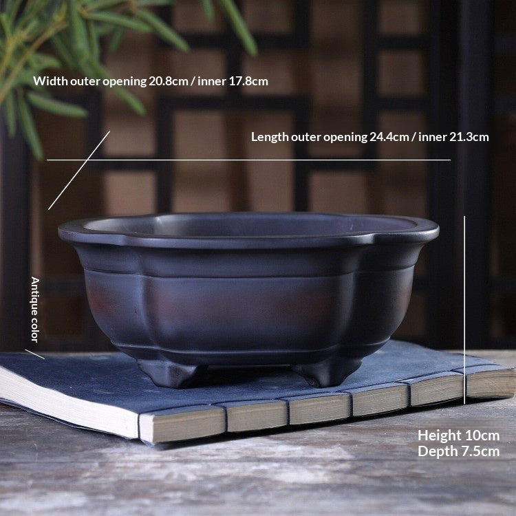 cjv5
