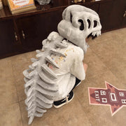 Dinosaur Costume with Skeleton Headpiece and Plush Skull