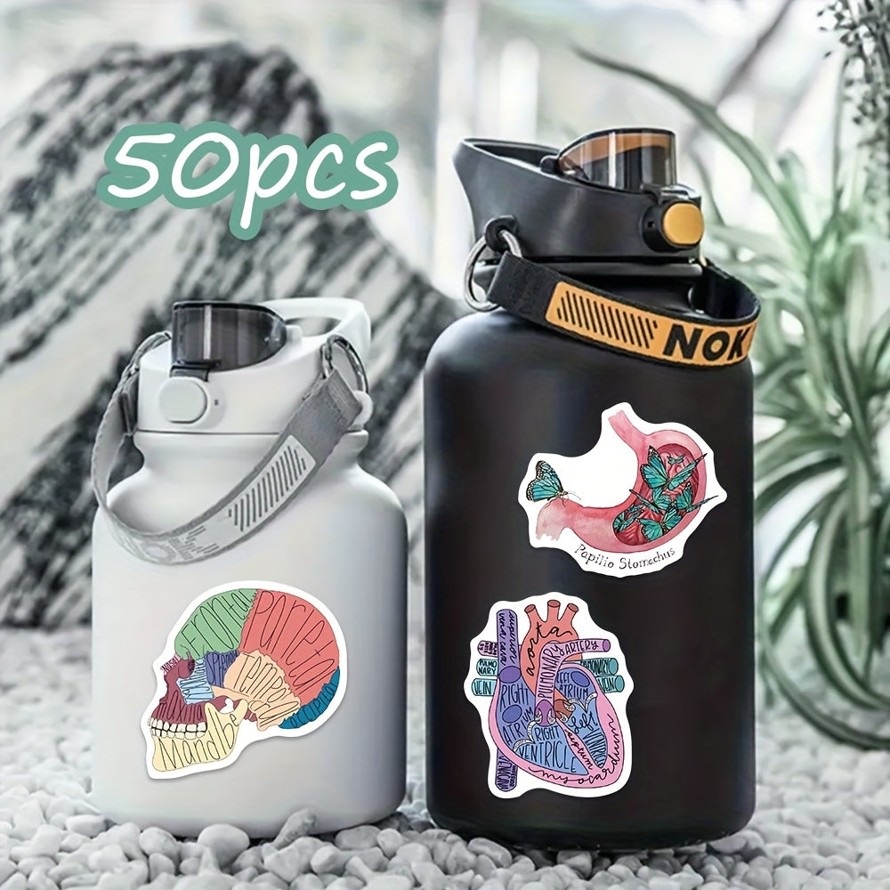 Anatomical Illustration PVC Sticker Pack – 50 Matte One‑Time Use Stickers