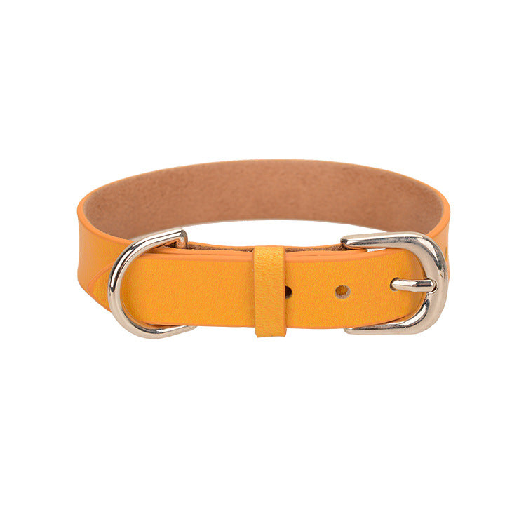 cjv6