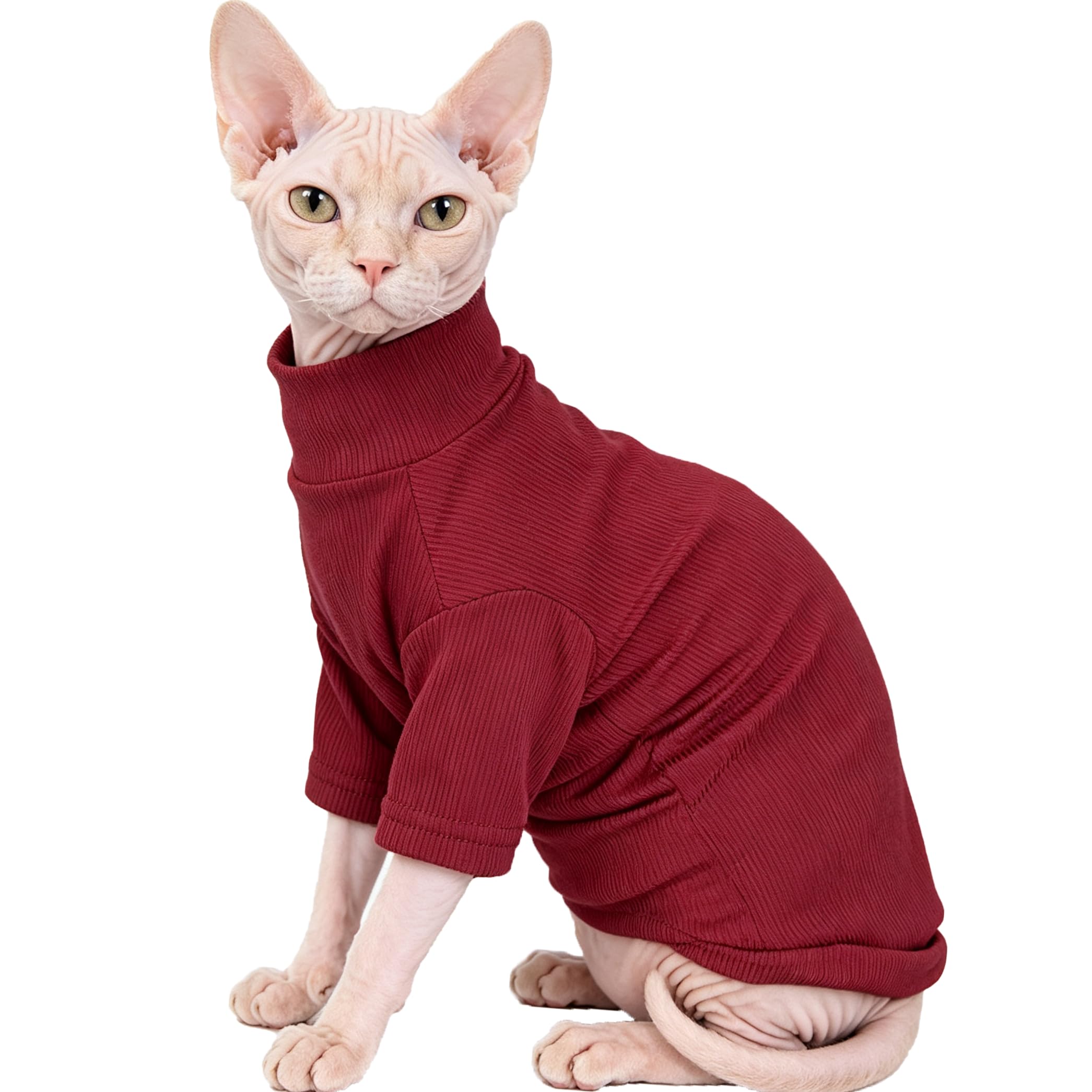 Cozy Turtleneck Sweater for Hairless Cats & Kittens