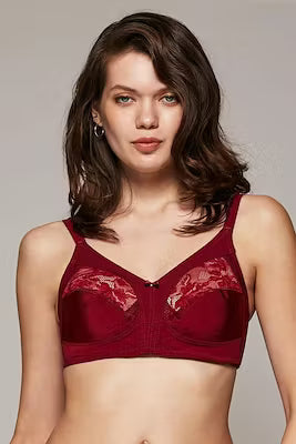 Slimming minimizer padded lace bra with soft support