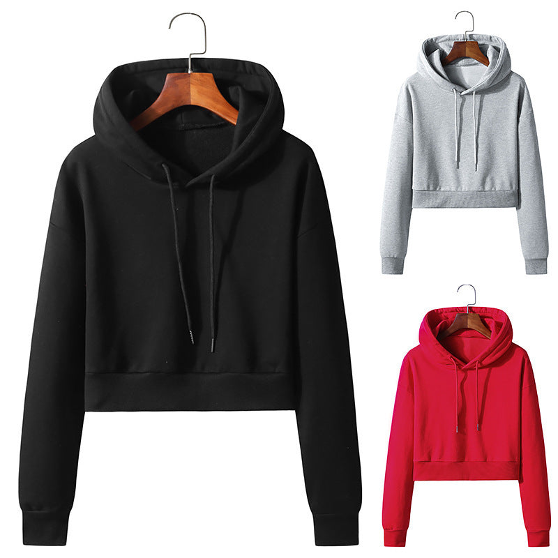 Cropped Cotton Hooded Pullover Sweater