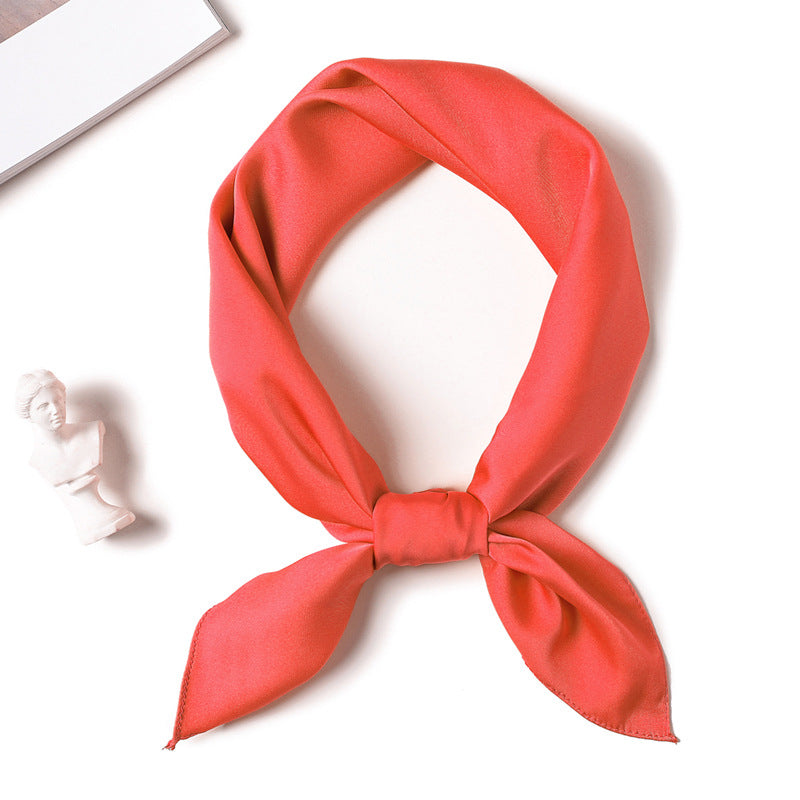 cjv13