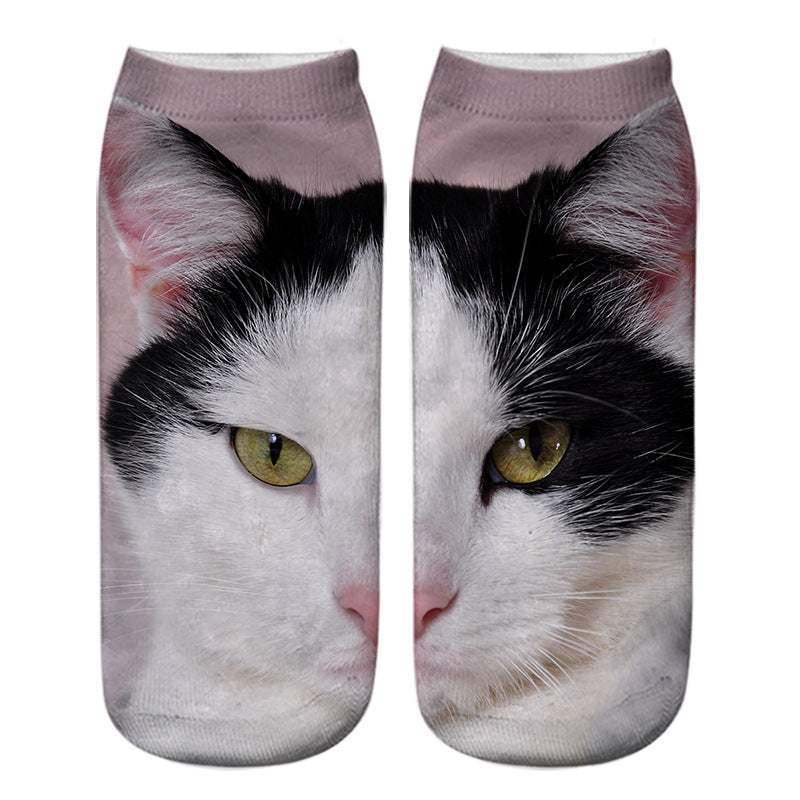 cjv8